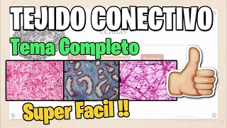 General Connective Tissue IN JUST 15 MINS BEST EXPLAINED General Connective Tissue IN JUST 15 MINS BEST EXPLAINED