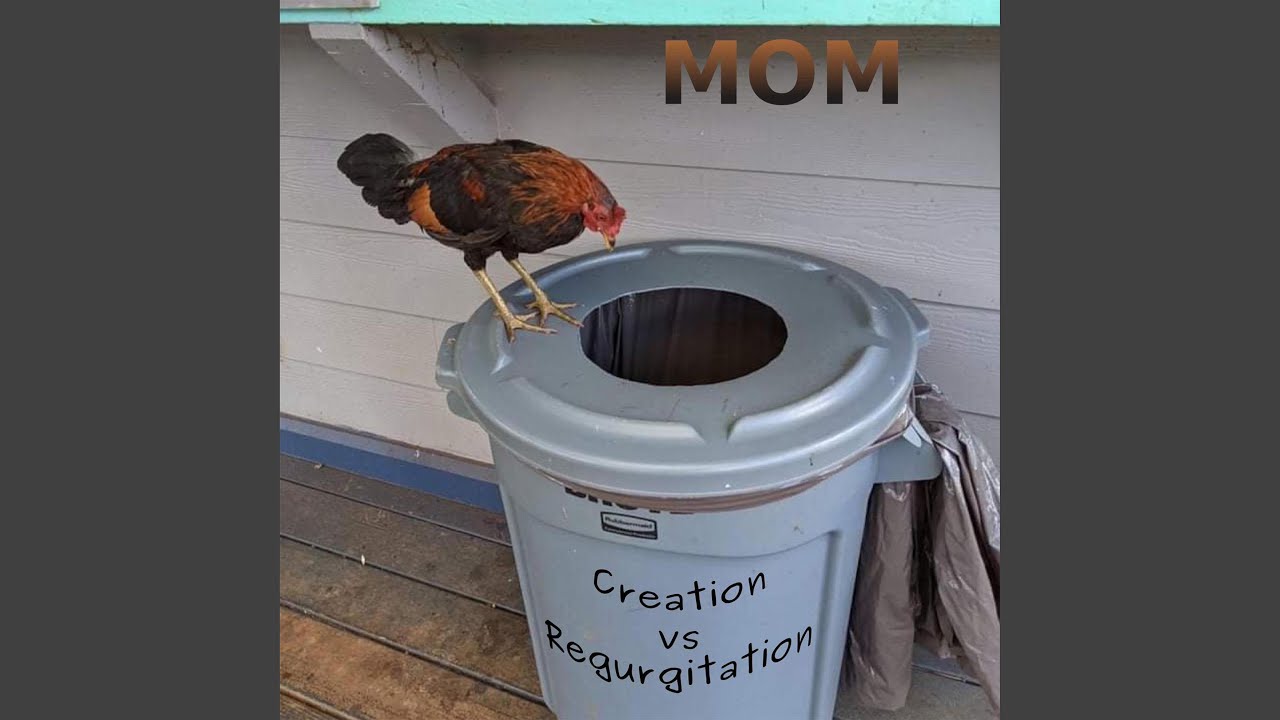 Mira CATCH ON FIRE en YouTube Mira CATCH ON FIRE en YouTube