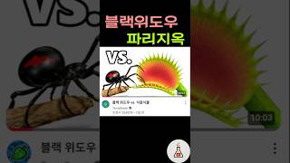 블랙위도우 vs. 파리지옥 @TerraGreen1