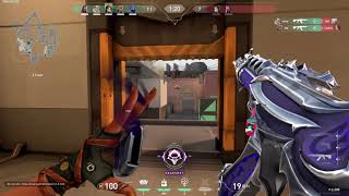 Please Report Raze