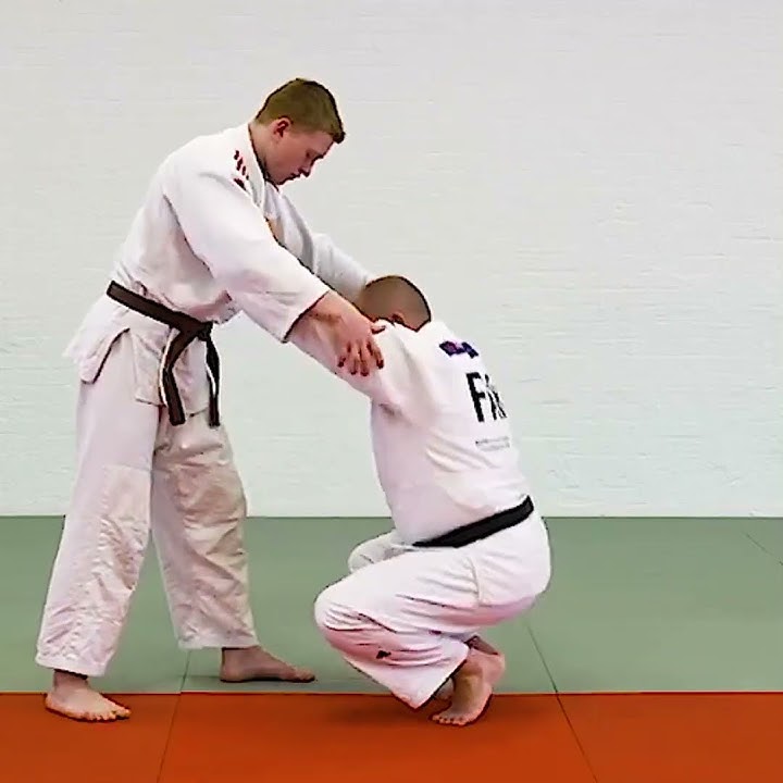 Yoko Tomoe Nage Positioning by Roland Vogt