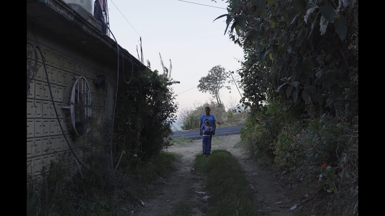 A Field That No Longer Smells of Flowers, César Flores Correa