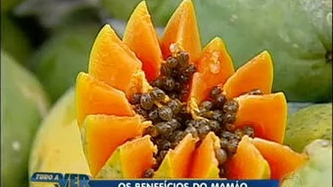 Quais alimentos fortalecem o pulmão?