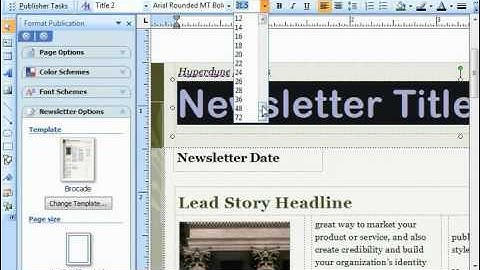 Publisher 2003 Tutorial Changing the Font Size Microsoft Training Lesson 4.2