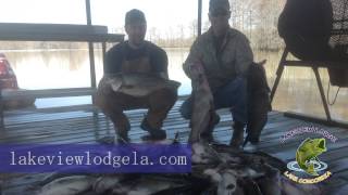 Lakeview Lodge