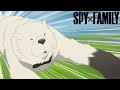 Bond Does Special Training | SPY x FAMILY