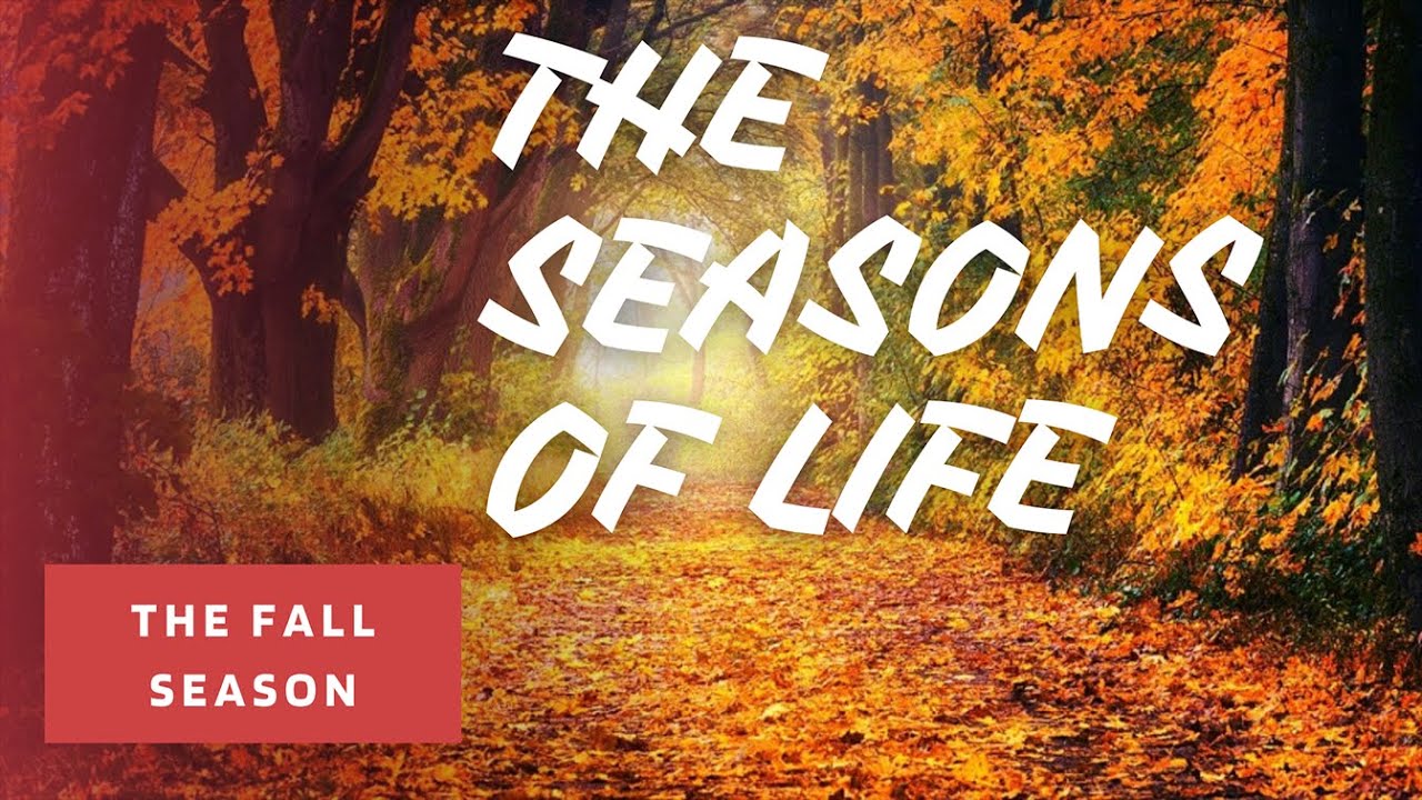 The Seasons of Life | The Fall Season | Jim Rohn Classic Ideas - YouTube