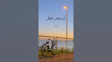 ولي أمل بربي لا يخيب 