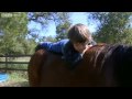 A Miracle By Horses - The Horse Boy - Storyville - BBC Four
