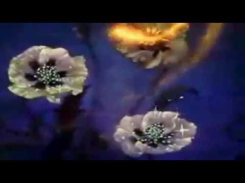 Moon Magic by Roshan & Shivani