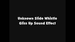 Unknown Slide Whistle Gliss Up SFX