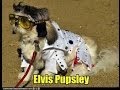 Elvis - Funny Moments