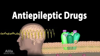 Pharmacology - Antiepileptic Drugs, Animation
