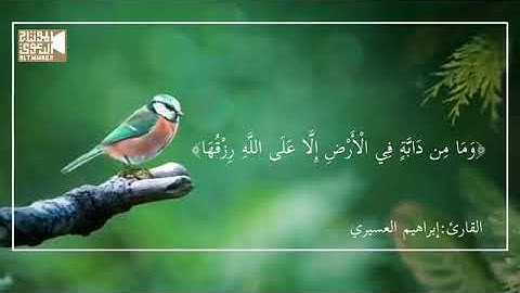 تلاوة من سورة هود الشيخ إبراهيم العسيري