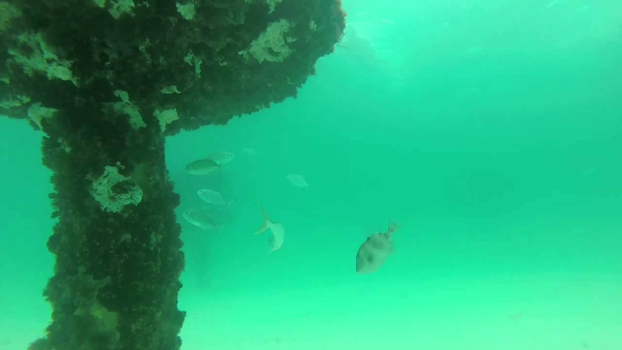 Ship Wreck near Destin,Fl and Navarre snorkel reef YouTube