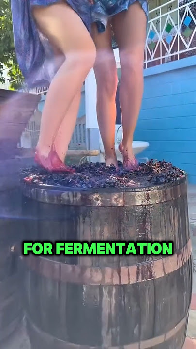 The process of making Georgian wine