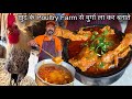   poultry farm   desi chicken kadaknath        meat   
