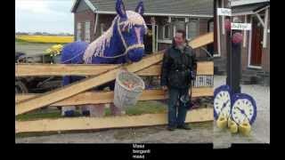 KARTINA  DAHARI - Masa berganti masa - Lente in Nederland met Mooie bloemen- Mozaiekdag 2012