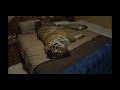 Why is there a tiger on Your bed?