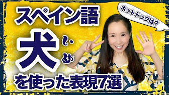 スペイン語 おもしろい単語と表現 Youtube