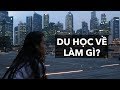 Du học về làm gì?