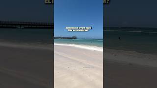 Доминикана: пляж Impressive Punta Cana - есть ли водоросли сейчас