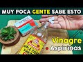 Despídete de las Manchas: Solo Vierte 3 Aspirinas En Vinagre de Manzana