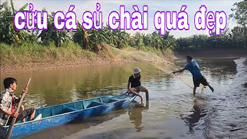 Chài Cá Linh Mùa Nước Nổi , Quăng Có Mấy Chài Mà Đầy Thau Cá Linh # SĂN BẮT ĐỒNG THÁP #
