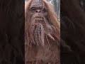Bigfoot Knocks on the Cabin Door #cryptid #mythology