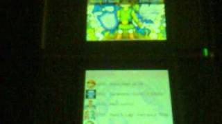 Moonshell 2 Main OS & AKAIO Sub OS On Acekard 2