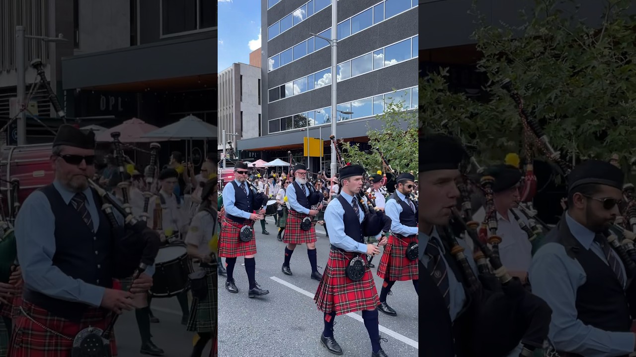 Parade 2024 National Multicultural Festival Canberra 