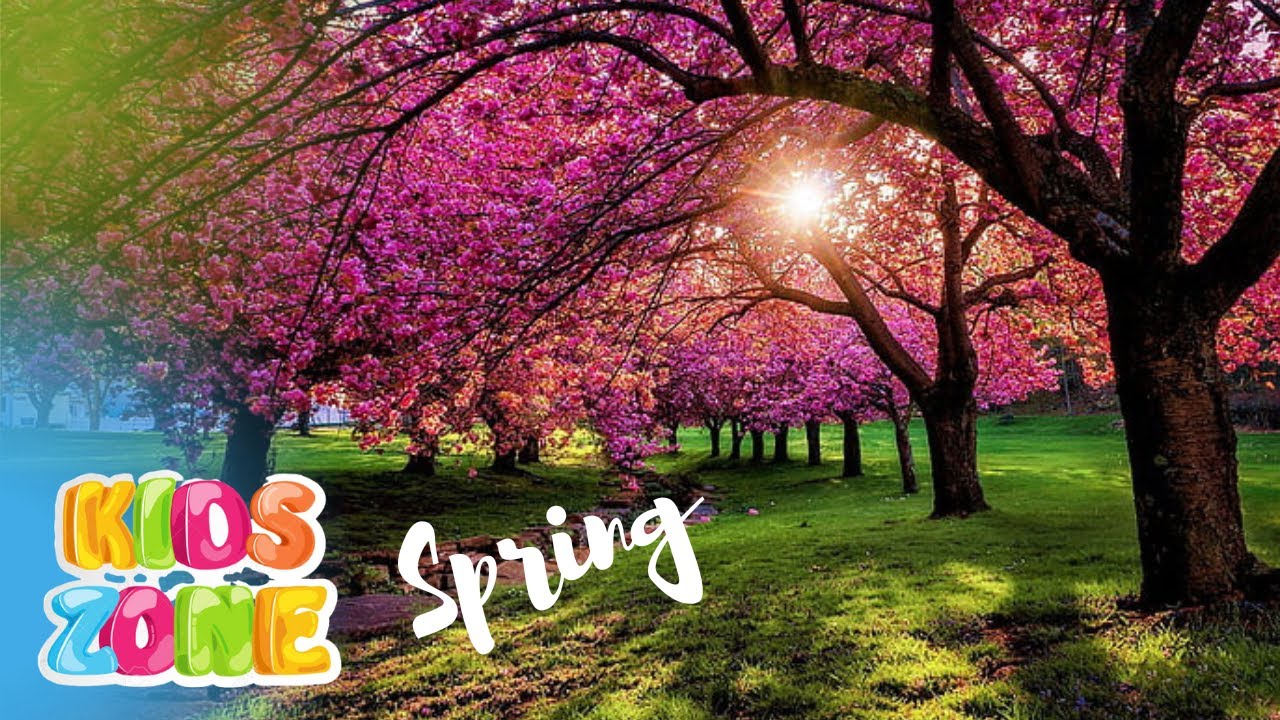 It s spring what happens in spring season spring video for kids