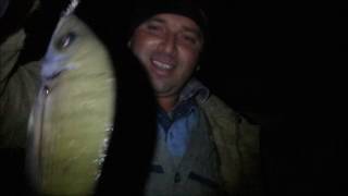 Sargoz Ve Kalamar Avi