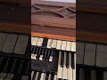 Anyone recognize this lick?? #moontaxi #riverwater #popmusic #indiemusic #organ #shorts
