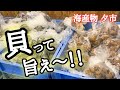 【北海道】白老町『海産物夕市』新鮮な貝を食べ尽くす!酒のアテはコレだ!