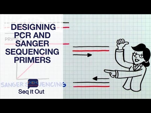 Video: Differenza Tra Primer Per PCR E Primer Di Sequenziamento