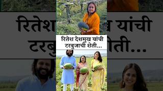 रितेश देशमुख यांची टरबुजाची बाग 🤩 Ritesh Deshmukh watermelon farm viral video | Genelia Deshmukh