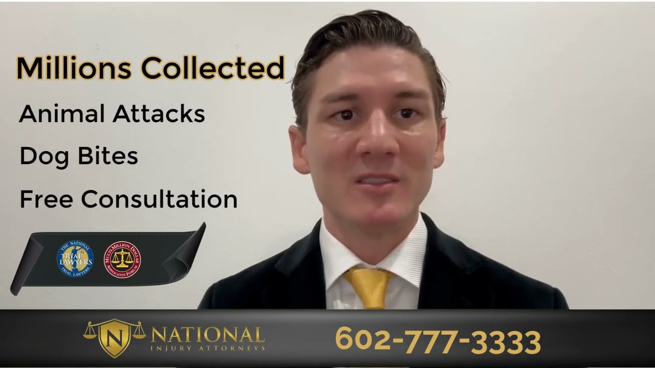 Dog Bite Lawyer Explains Your Rights After a Dog Attack | Carl Engstrand – National Injury Attorneys