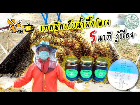 ผลสลากกินแบ่งรัฐบาล วันที่ 1 พย. 2567 ผลสลากกินแบ่งรัฐบาล วันที่ 1 พย. 2567