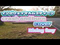 イングウェイマルムスティーン              crash and burn   cover