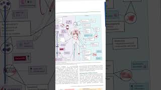 Enhance your clinical knowledge with The Lancet's Clinical Resources