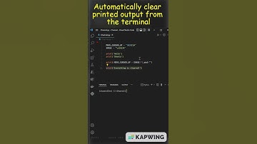 Automatically Clear Printed Output From Terminal Using Python