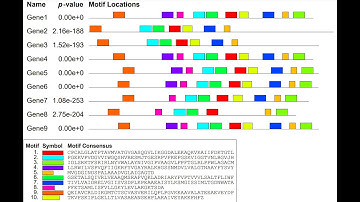 Motif-based sequence analysis tools=MEME Suite