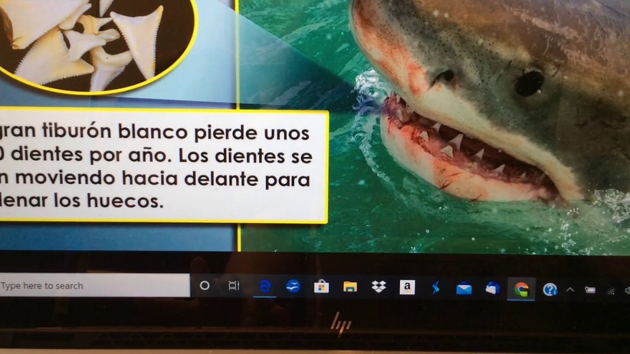 Detalles claves 2 YouTube