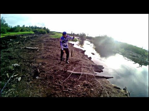 jyanor 24