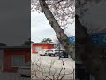 Омар Хайям 💓