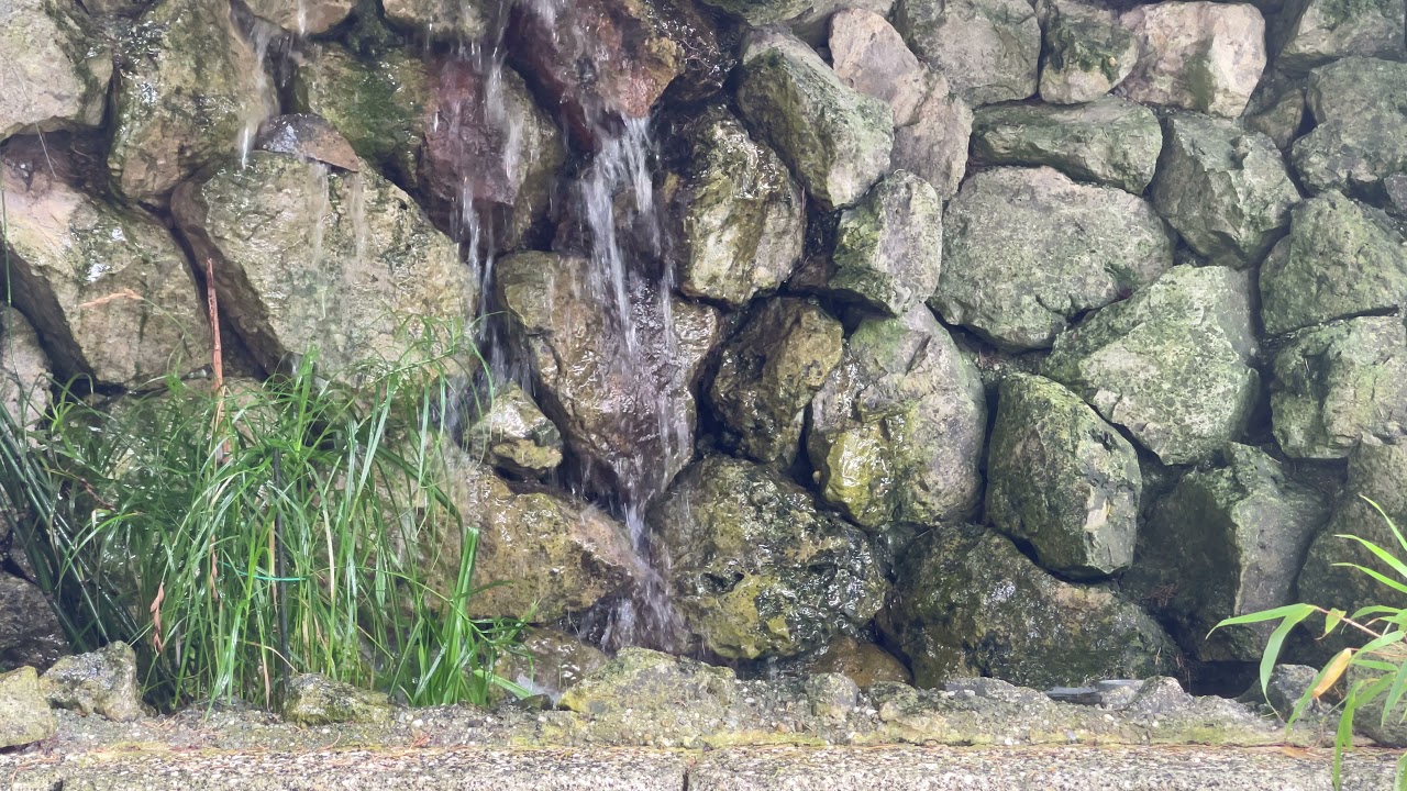 Kung Fu - Ving Tsun - Gelassenheitsübung, lauschen, atmen, fokussieren, zentrieren auf sich selbst.