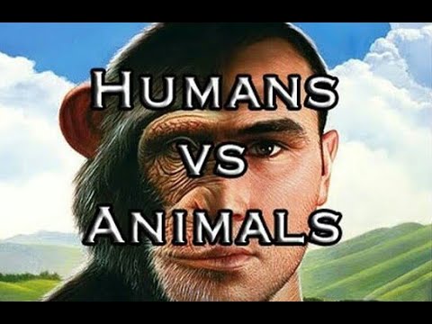 वीडियो: मनुष्य एक जानवर क्यों है