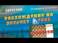 МГ Александр Зубов ✨ BLITZ SPEEDRUN ✨Восхождение к 3000 на chess.com! Часть 12