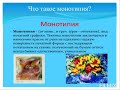 "Создаём монотипию ".Художественный труд, 2 класс